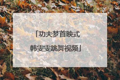 功夫梦首映式 韩雯雯跳舞视频