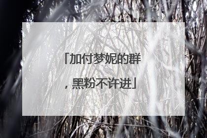 加付梦妮的群,黑粉不许进