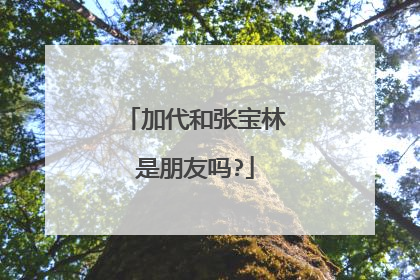 加代和张宝林是朋友吗?