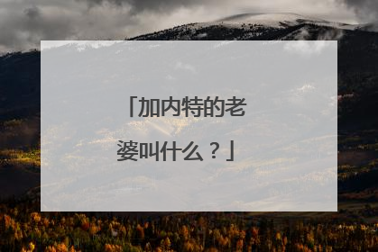 加内特的老婆叫什么?