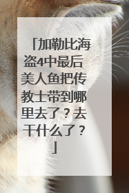 加勒比海盗4中最后美人鱼把传教士带到哪里去了？去干什么了？
