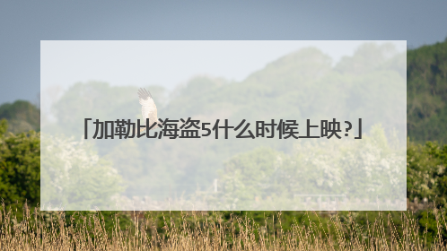 加勒比海盗5什么时候上映?