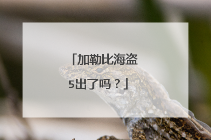 加勒比海盗5出了吗？