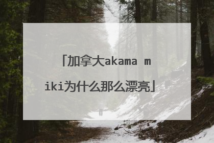 加拿大akama miki为什么那么漂亮