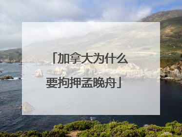 加拿大为什么要拘押孟晚舟