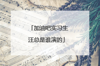 加油吧实习生汪总是谁演的