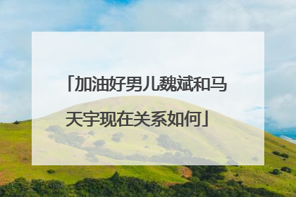 加油好男儿魏斌和马天宇现在关系如何