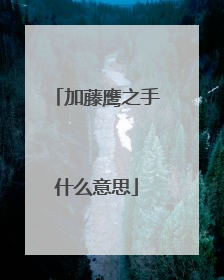 加藤鹰之手什么意思
