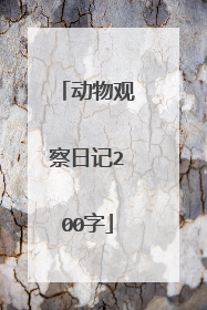动物观察日记200字
