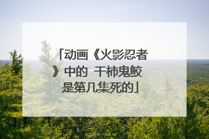 动画《火影忍者》中的 干柿鬼鲛 是第几集死的