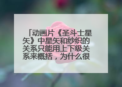 动画片《圣斗士星矢》中星矢和纱织的关系只能用上下级关系来概括，为什么很多人认为是爱情？