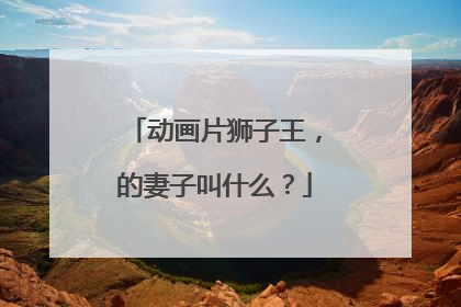 动画片狮子王，的妻子叫什么？