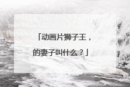 动画片狮子王,的妻子叫什么?