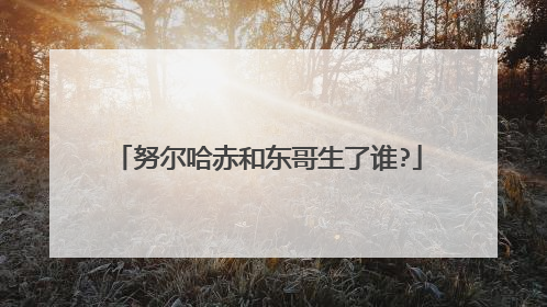 努尔哈赤和东哥生了谁?