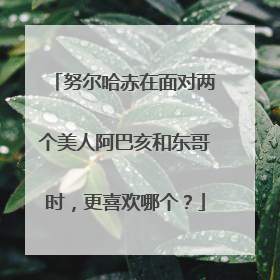努尔哈赤在面对两个美人阿巴亥和东哥时，更喜欢哪个？