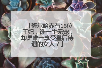 努尔哈赤有16位王妃，谁一生无宠，却是唯一享受皇后待遇的女人？