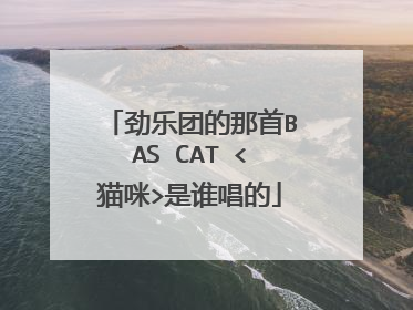 劲乐团的那首BAS CAT <猫咪>是谁唱的