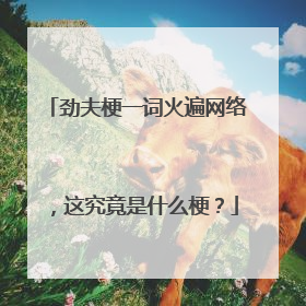 劲夫梗一词火遍网络,这究竟是什么梗?