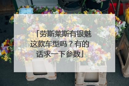 劳斯莱斯有银魅这款车型吗？有的话求一下参数