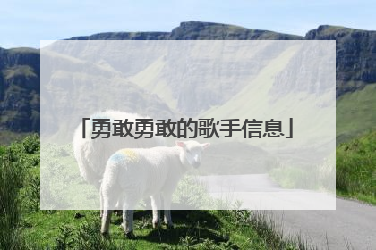 勇敢勇敢的歌手信息