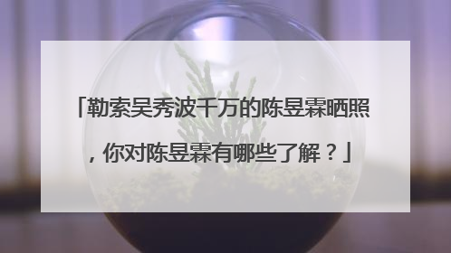 勒索吴秀波千万的陈昱霖晒照，你对陈昱霖有哪些了解？