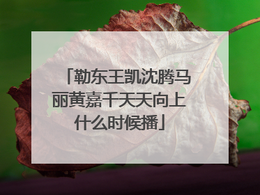 勒东王凯沈腾马丽黄嘉千天天向上什么时候播