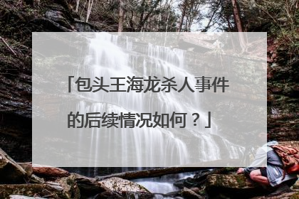 包头王海龙杀人事件的后续情况如何?