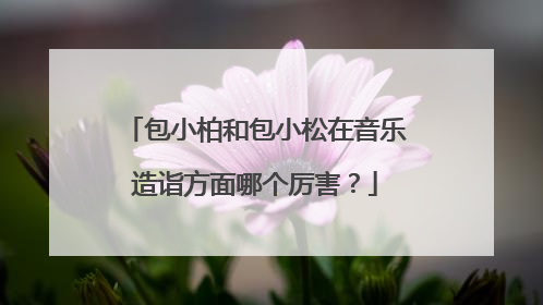 包小柏和包小松在音乐造诣方面哪个厉害?