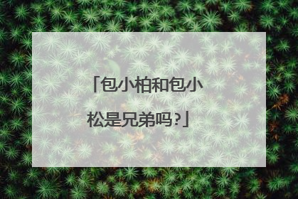 包小柏和包小松是兄弟吗?