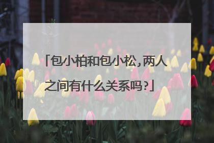 包小柏和包小松,两人之间有什么关系吗?