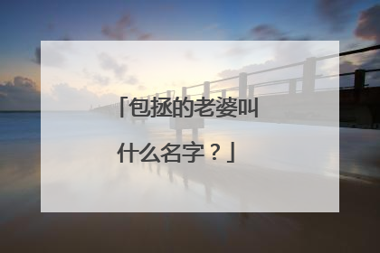 包拯的老婆叫什么名字?