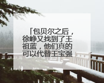 包贝尔之后,徐峥又找到了王祖蓝,他们真的可以代替王宝强吗?