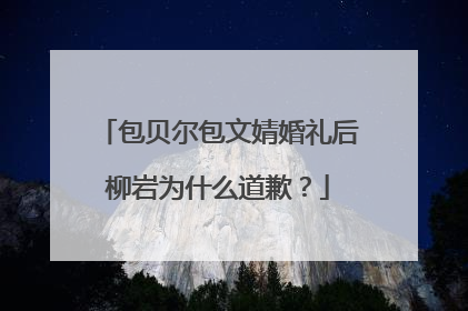 包贝尔包文婧婚礼后柳岩为什么道歉?