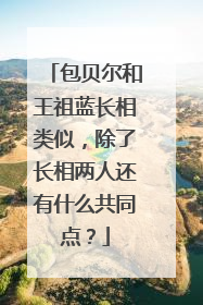 包贝尔和王祖蓝长相类似,除了长相两人还有什么共同点?