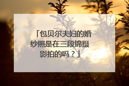 包贝尔夫妇的婚纱照是在三段锦摄影拍的吗？