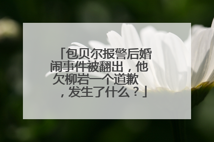 包贝尔报警后婚闹事件被翻出,他欠柳岩一个道歉 ,发生了什么?