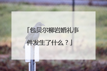 包贝尔柳岩婚礼事件发生了什么？