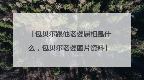 包贝尔跟他老婆属相是什么,包贝尔老婆图片资料