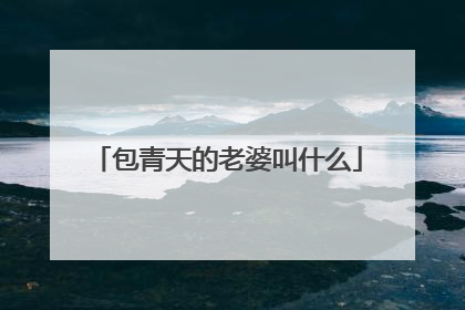 包青天的老婆叫什么