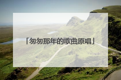 匆匆那年的歌曲原唱