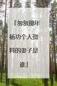 匆匆那年杨功个人资料的妻子是谁