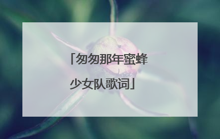 匆匆那年蜜蜂少女队歌词