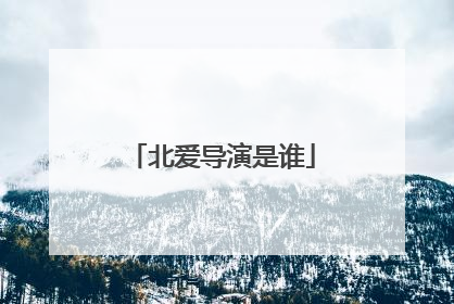 北爱导演是谁