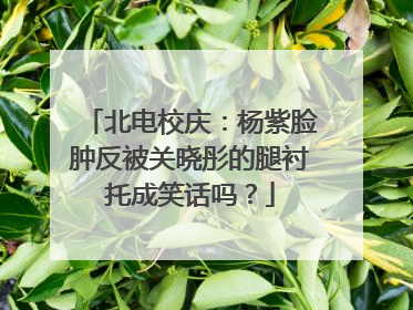北电校庆:杨紫脸肿反被关晓彤的腿衬托成笑话吗?
