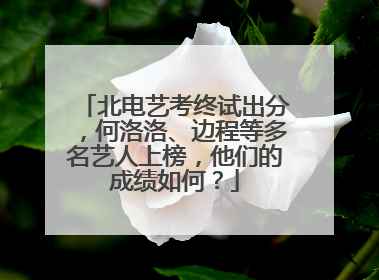 北电艺考终试出分，何洛洛、边程等多名艺人上榜，他们的成绩如何？