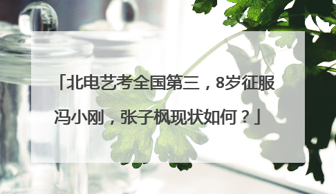 北电艺考全国第三,8岁征服冯小刚,张子枫现状如何?