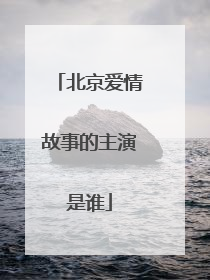 北京爱情故事的主演是谁