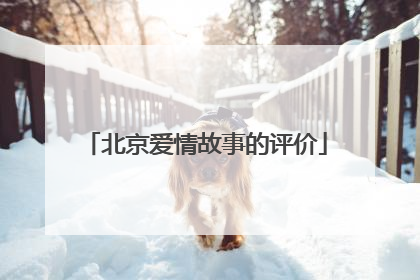 北京爱情故事的评价