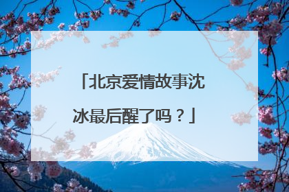 北京爱情故事沈冰最后醒了吗？