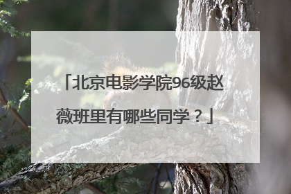 北京电影学院96级赵薇班里有哪些同学？